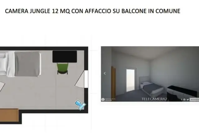 insertion image