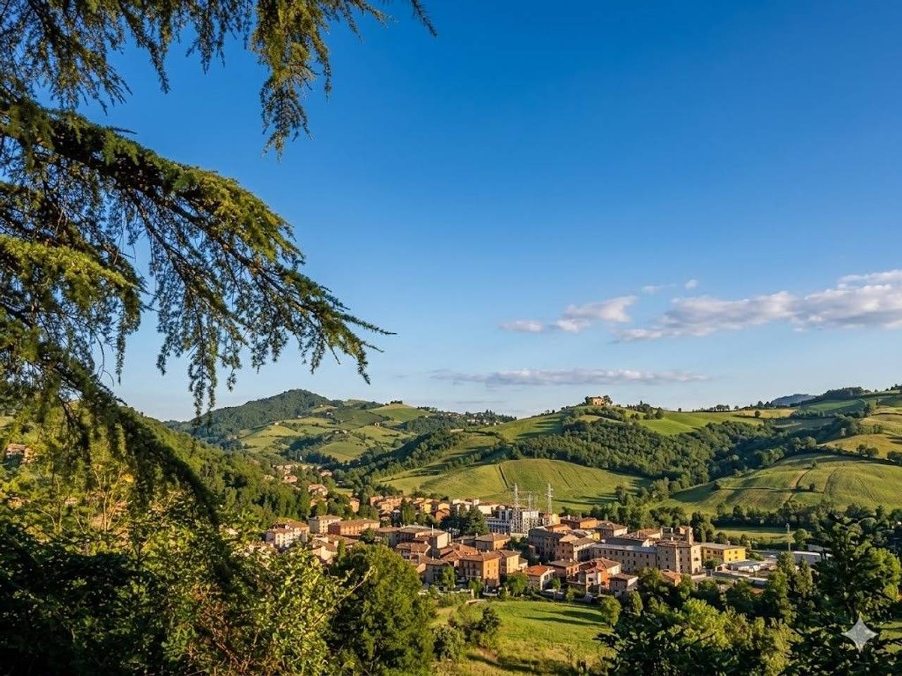 immagine annuncio 12 di 14