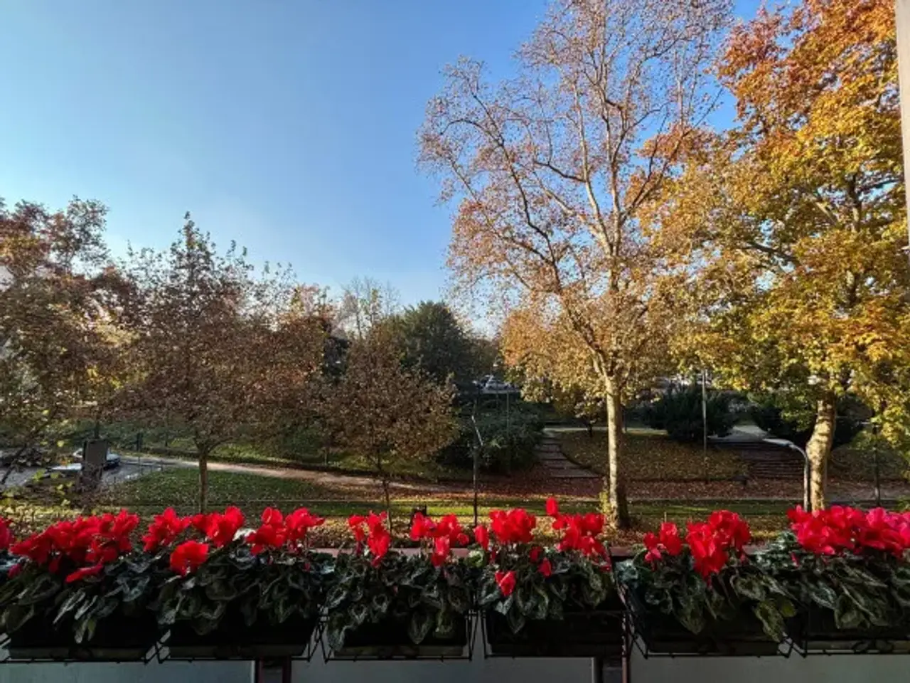 Ufficio in Viale Vittorio Veneto, Milano, {3} - Foto 1