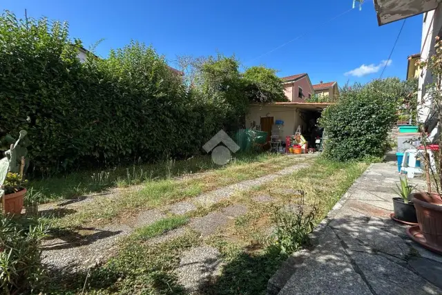 insertion image