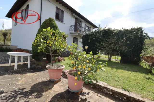 insertion image