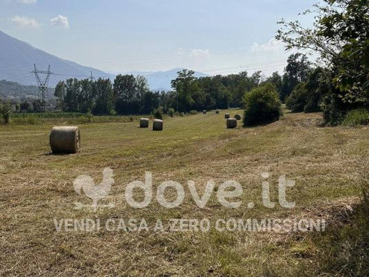 immagine annuncio 7 di 8