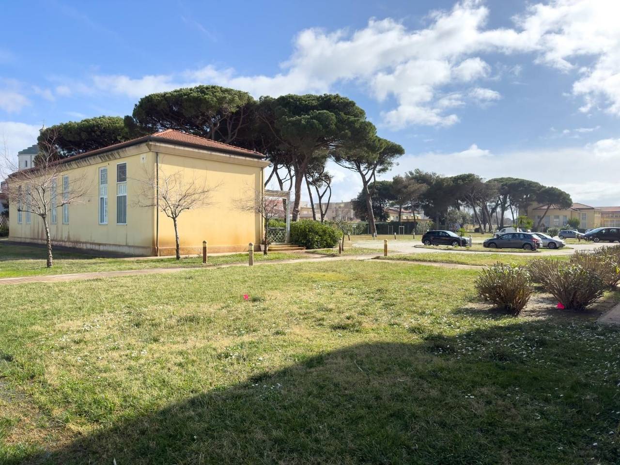 immagine annuncio 11 di 14