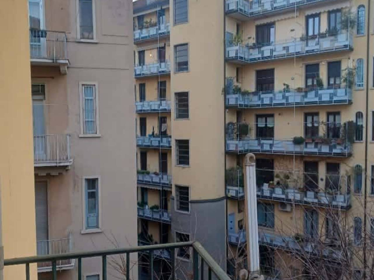 immagine annuncio 10 di 11