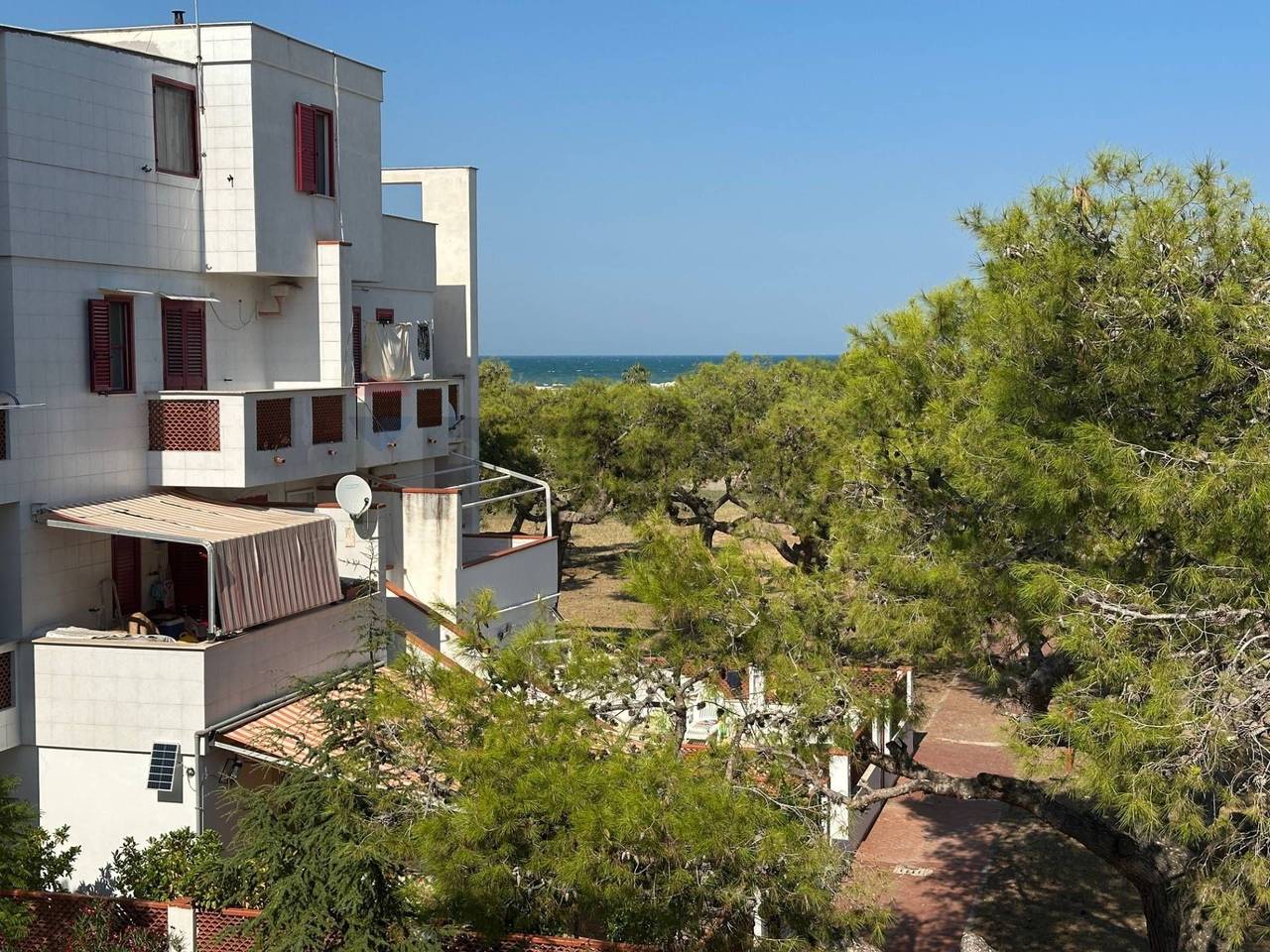 immagine annuncio 13 di 15