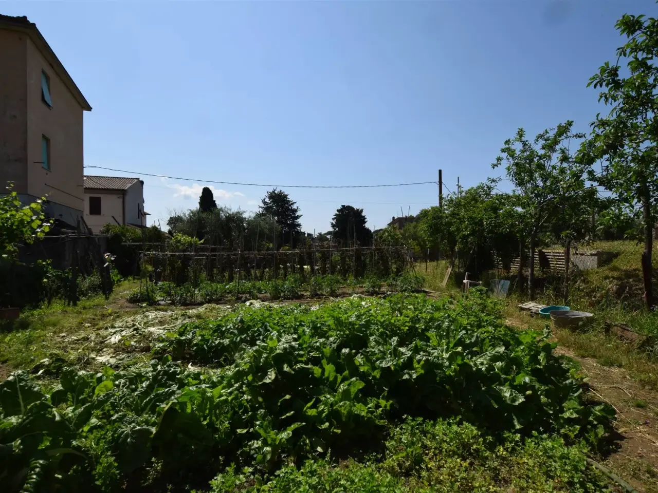 Azienda agricola in  Suvereto, Livorno, Suvereto, {3} - Foto 2