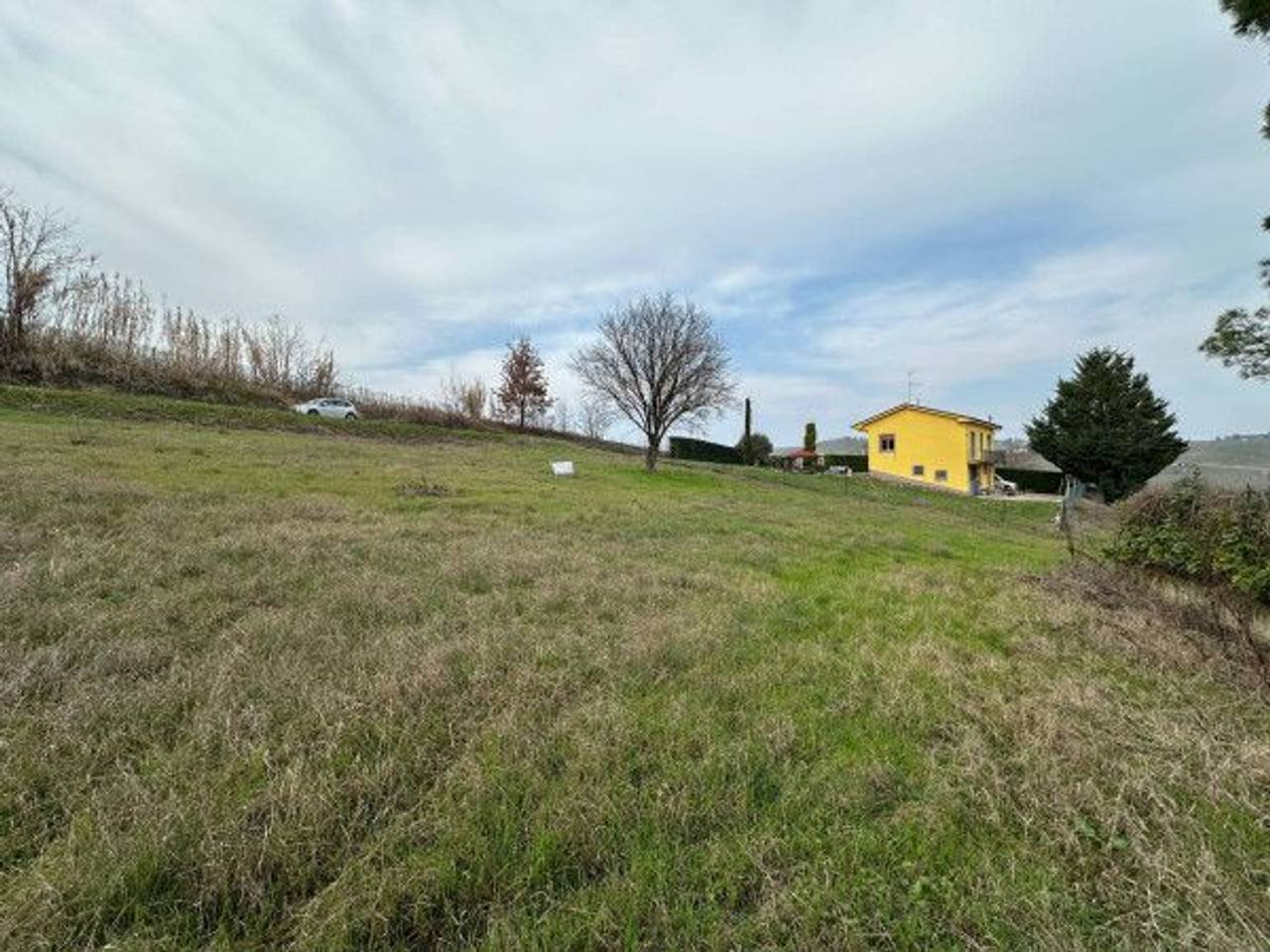 immagine annuncio 4 di 13