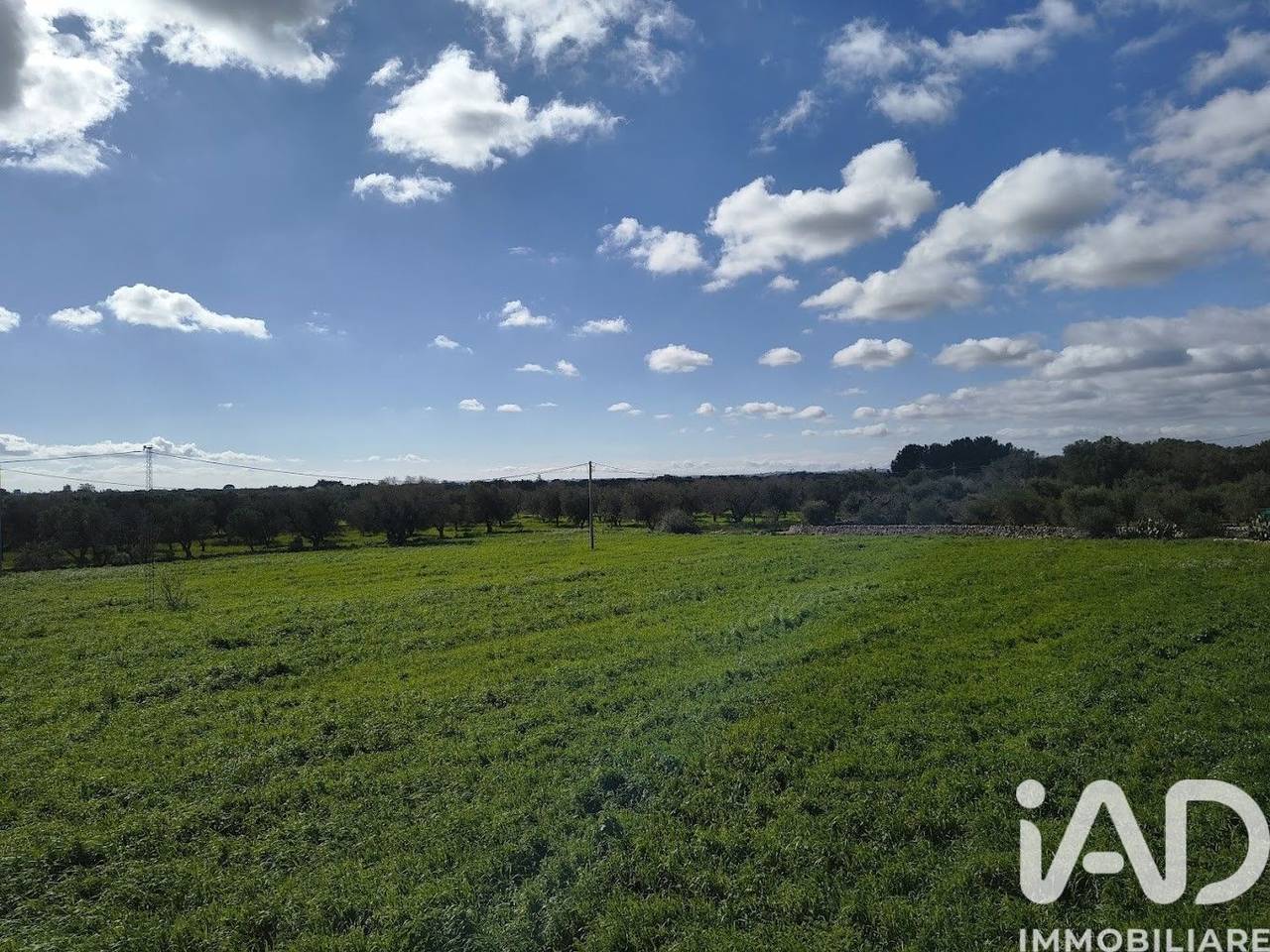 immagine annuncio 6 di 8