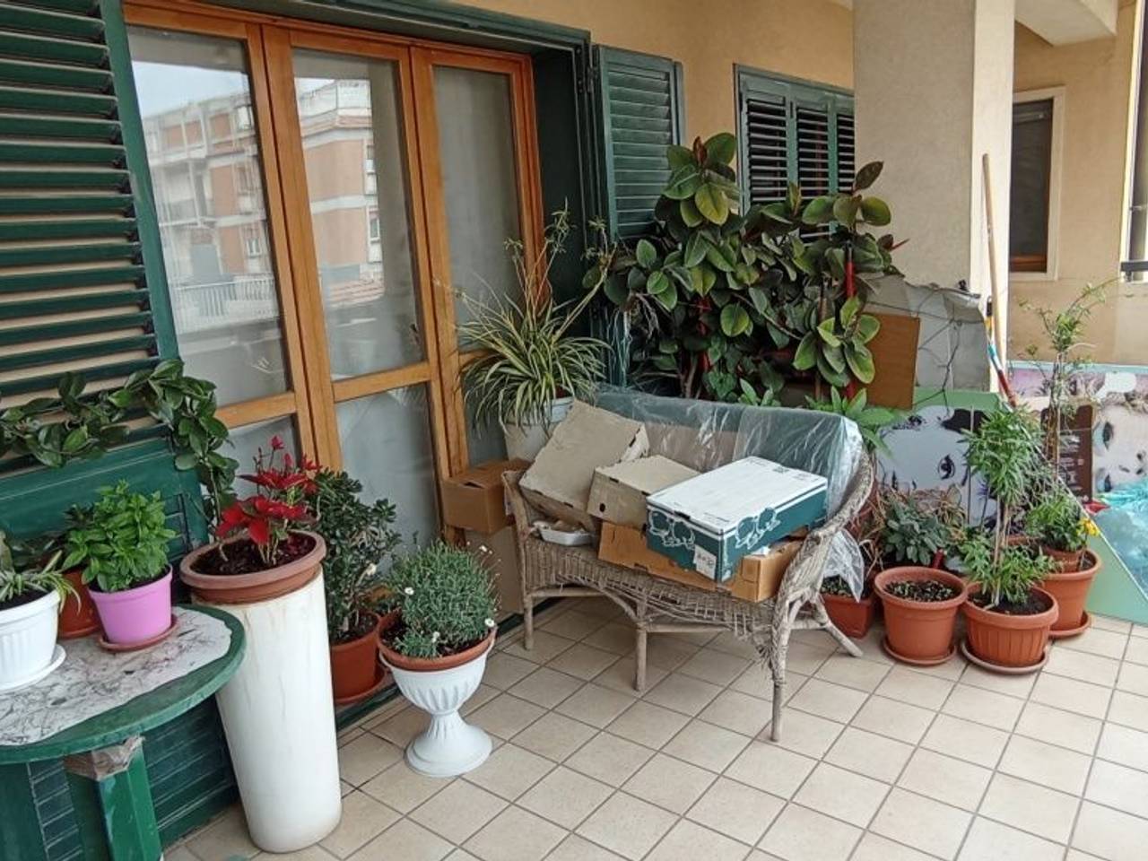 immagine annuncio 8 di 15
