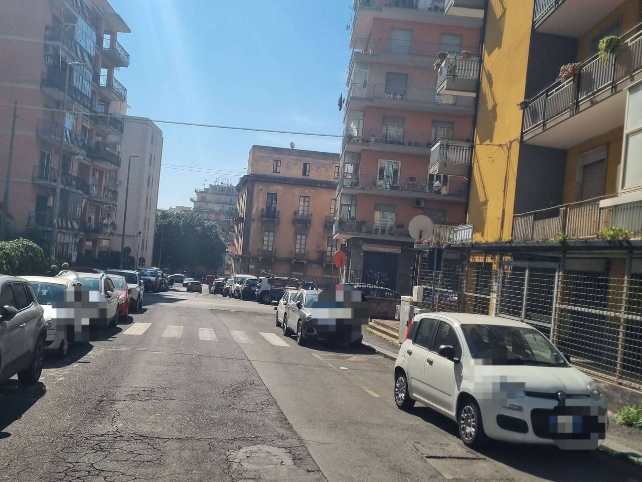 immagine annuncio 1 di 6