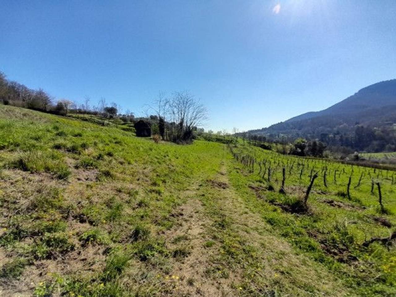 immagine annuncio 6 di 13