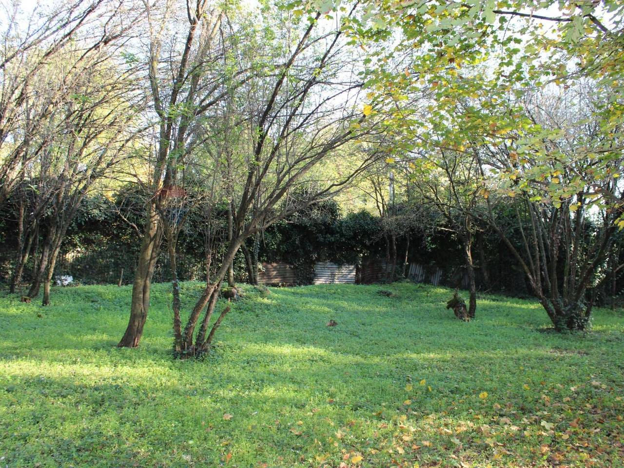 immagine annuncio 9 di 14