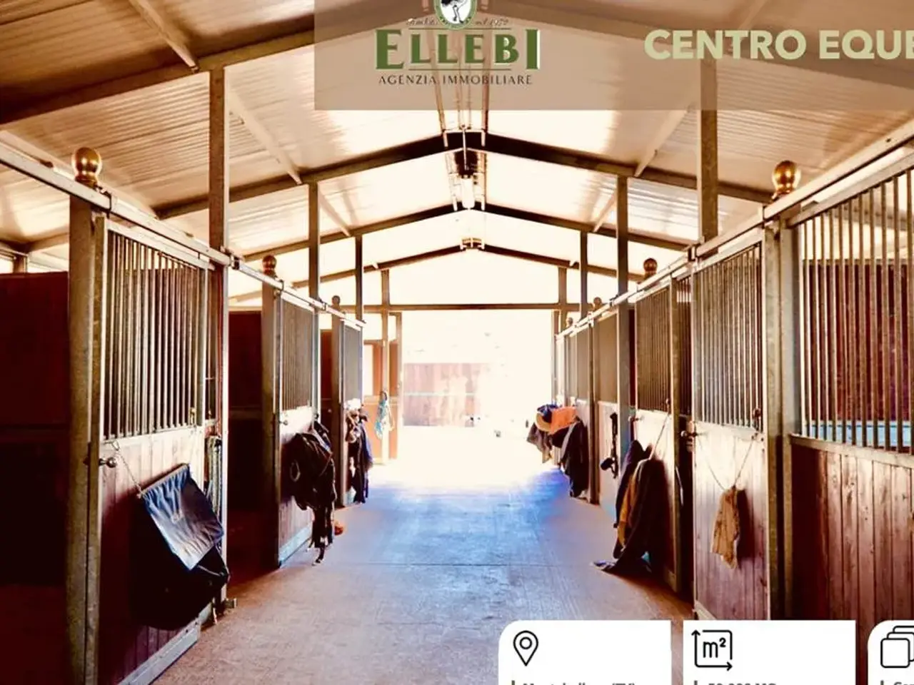Azienda agricola in Montebelluna - Via Gazie, Montebelluna, {3} - Foto 1