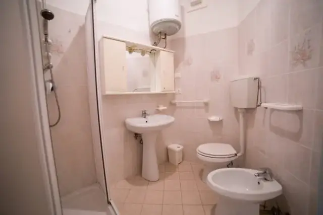 insertion image