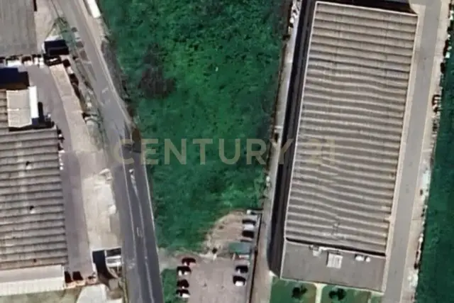 insertion image
