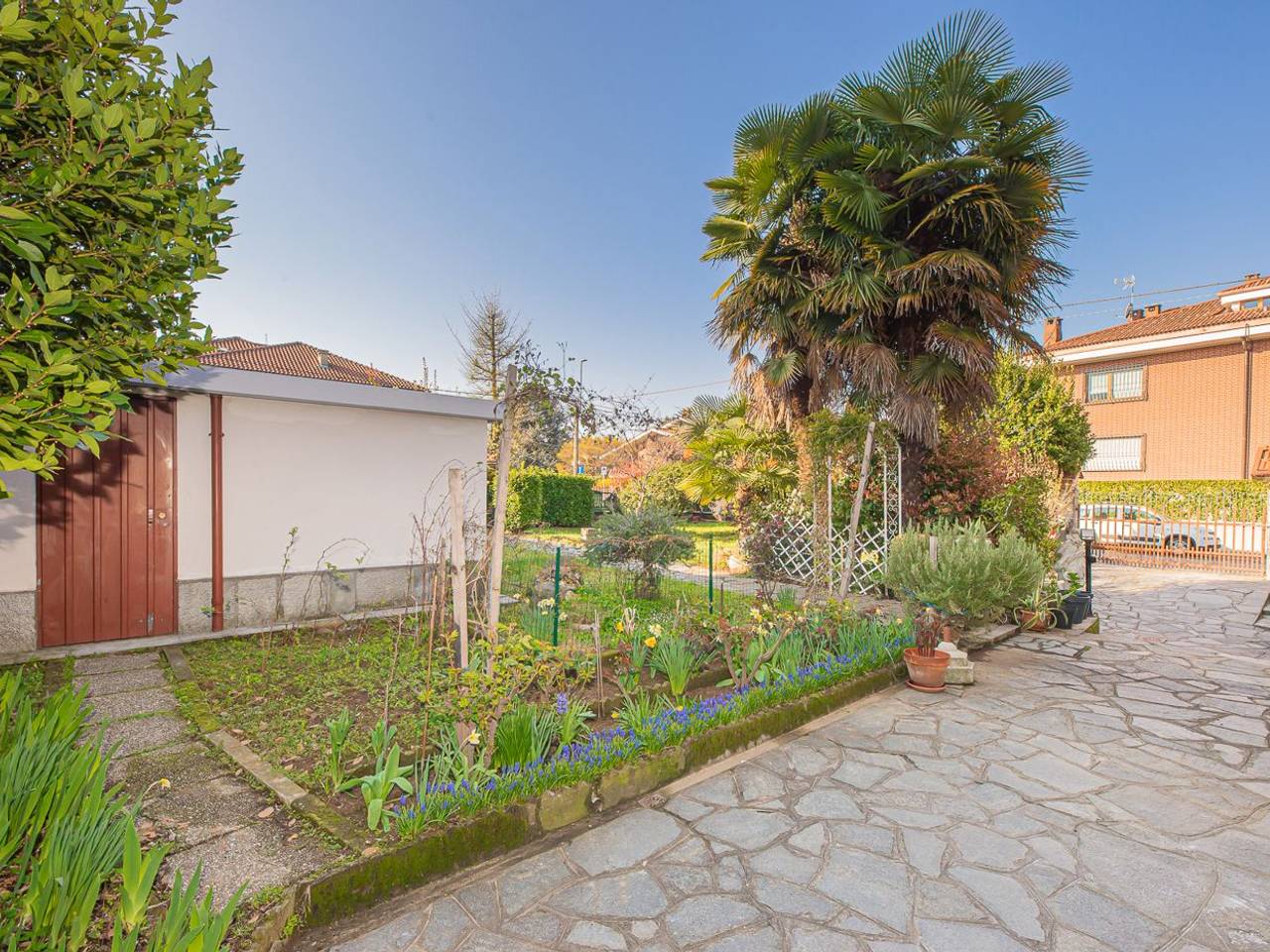 immagine annuncio 2 di 15