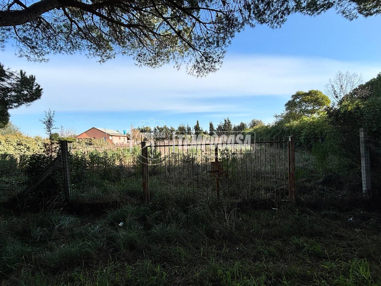 immagine annuncio 3 di 7