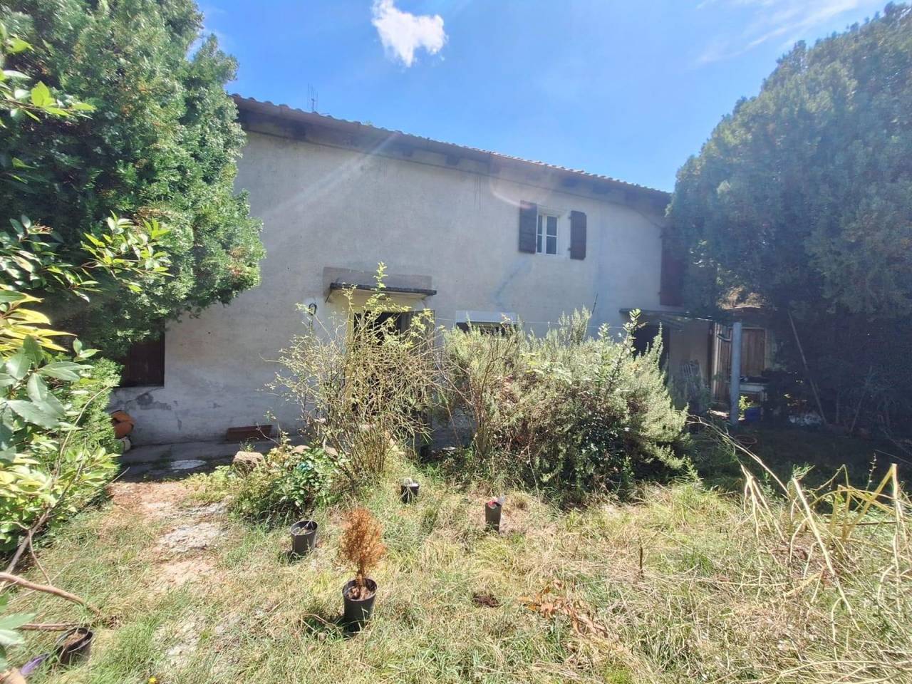 immagine annuncio 1 di 6