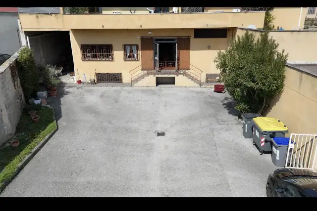insertion image
