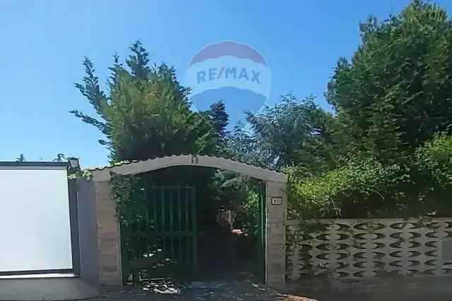 insertion image