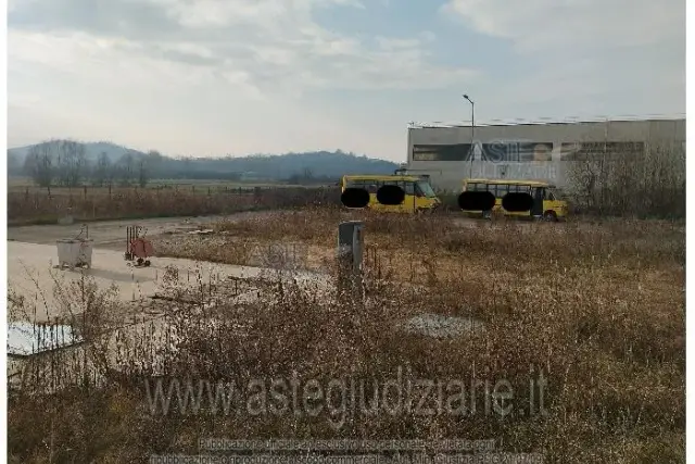 insertion image