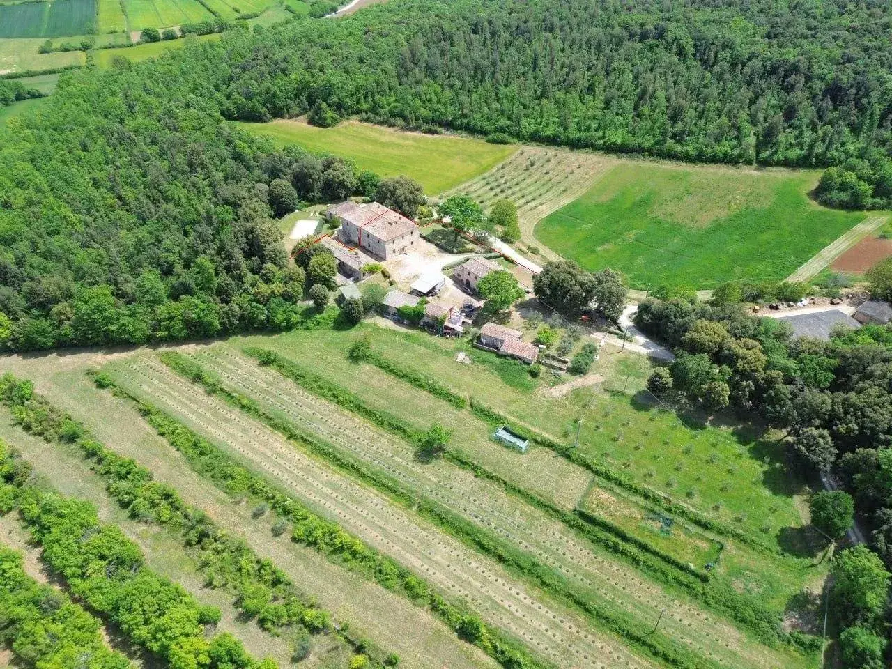 Agriturismo in Bellaria, Monteriggioni, {3} - Foto 1