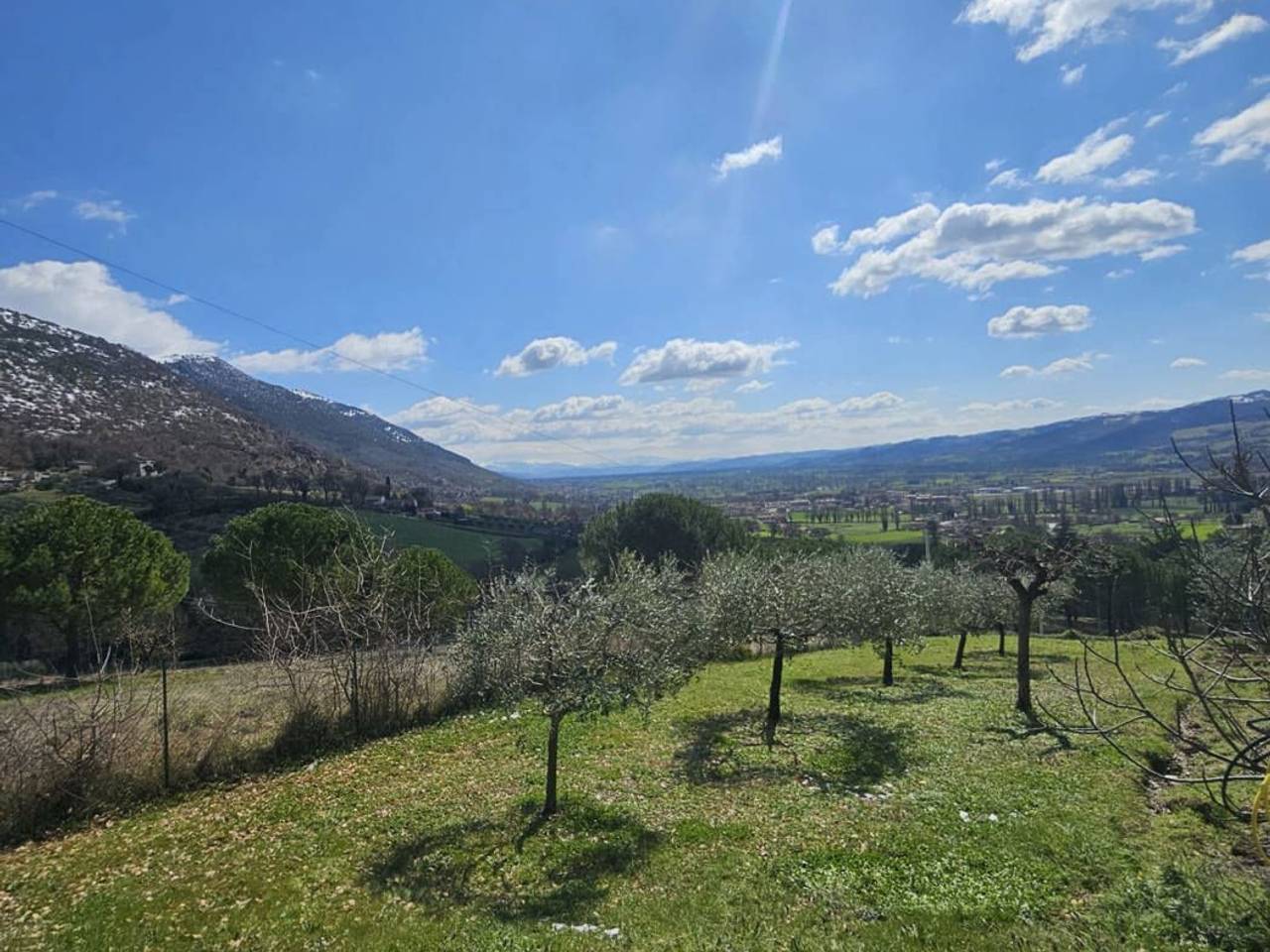 immagine annuncio 2 di 9