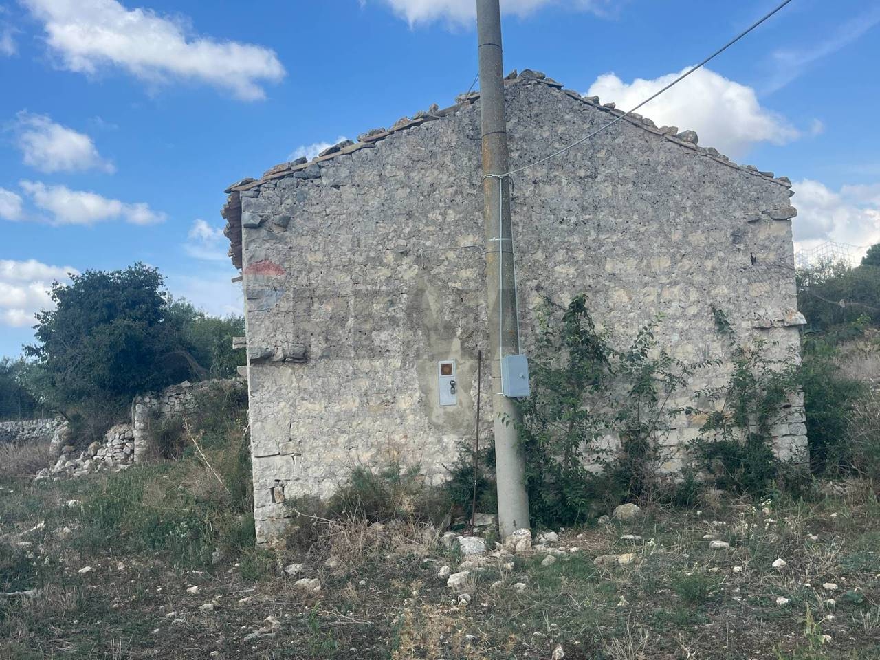 immagine annuncio 3 di 11