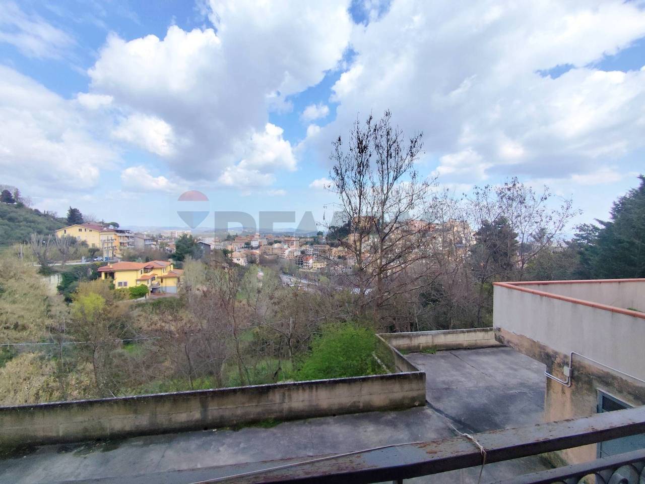 immagine annuncio 13 di 14