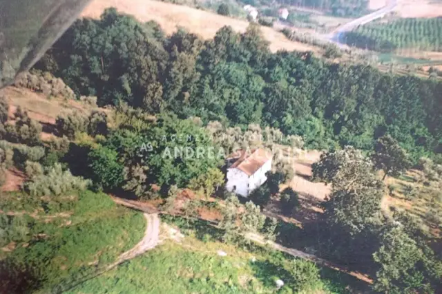 Country house or cottage in Unnamed Road, , Palaia - Photo 1