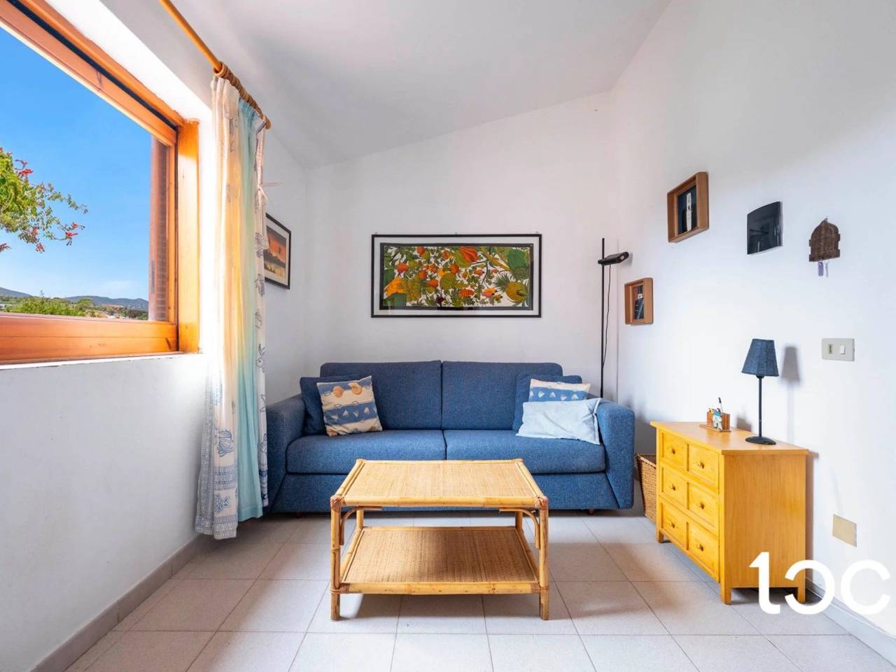 immagine annuncio 4 di 14