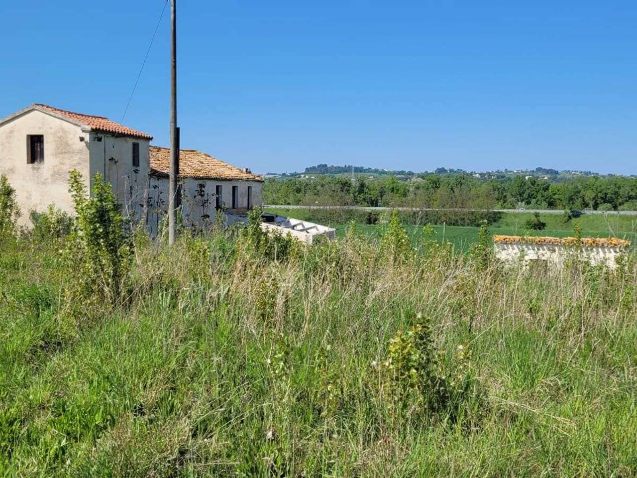 immagine annuncio 2 di 4