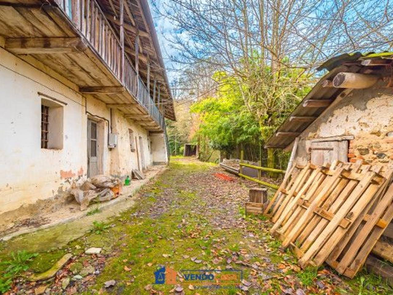 immagine annuncio 2 di 11