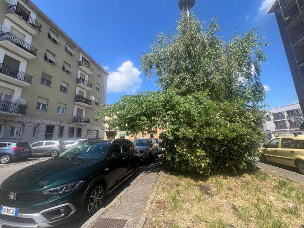 immagine annuncio 5 di 7