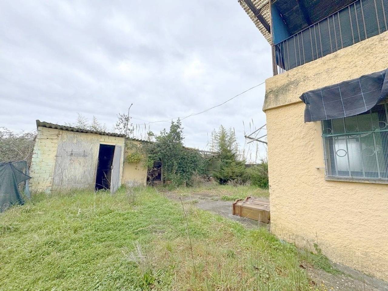 immagine annuncio 10 di 15