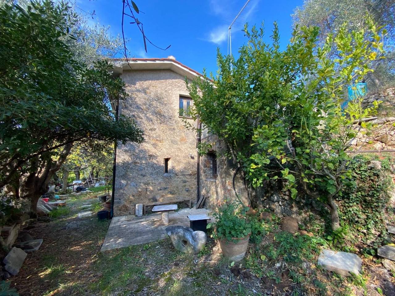 immagine annuncio 7 di 15