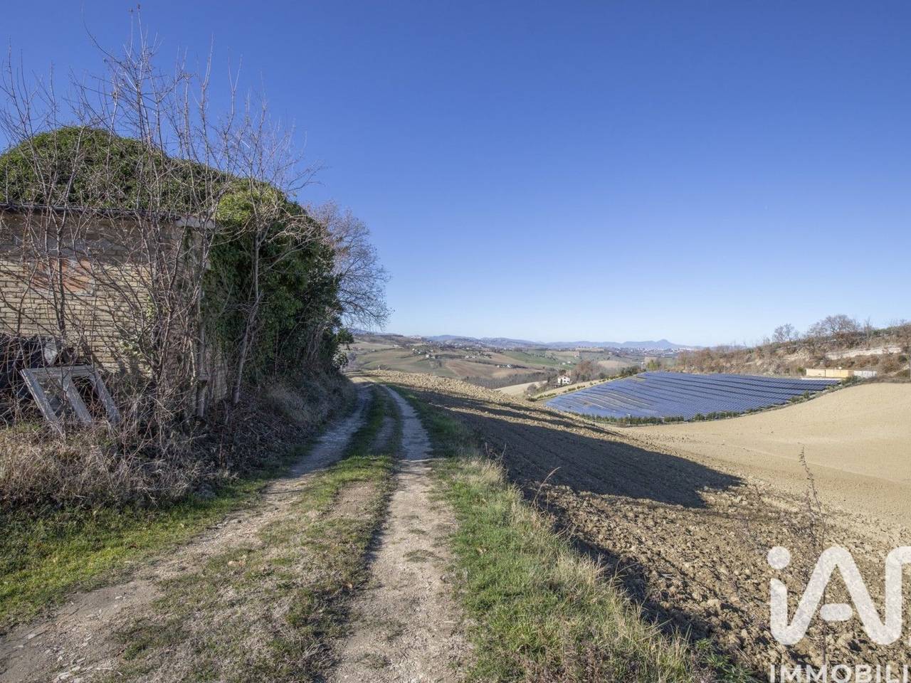 immagine annuncio 5 di 7