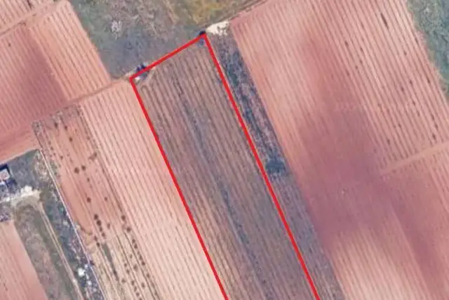 insertion image