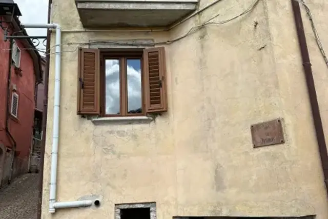 insertion image