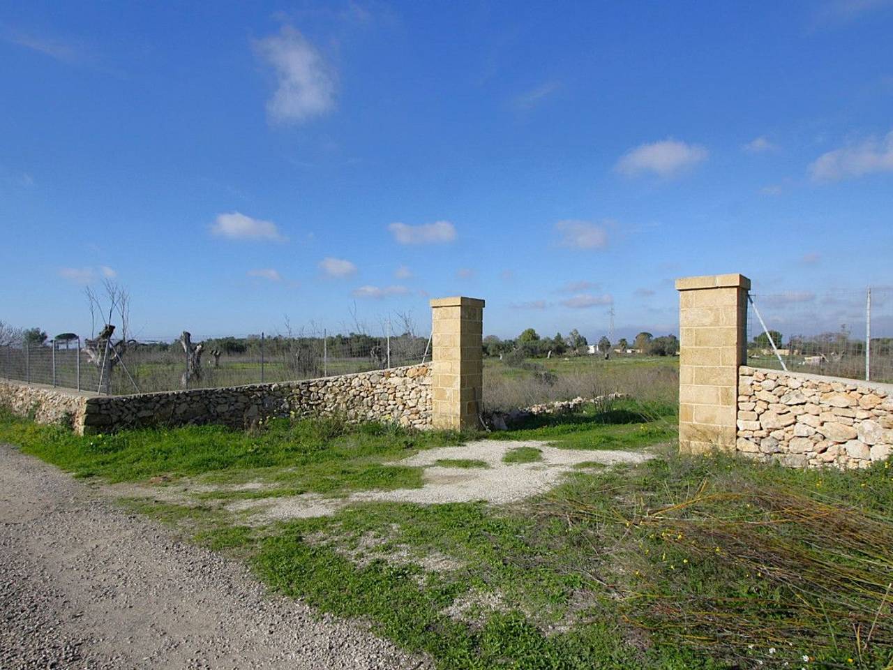 immagine annuncio 10 di 15