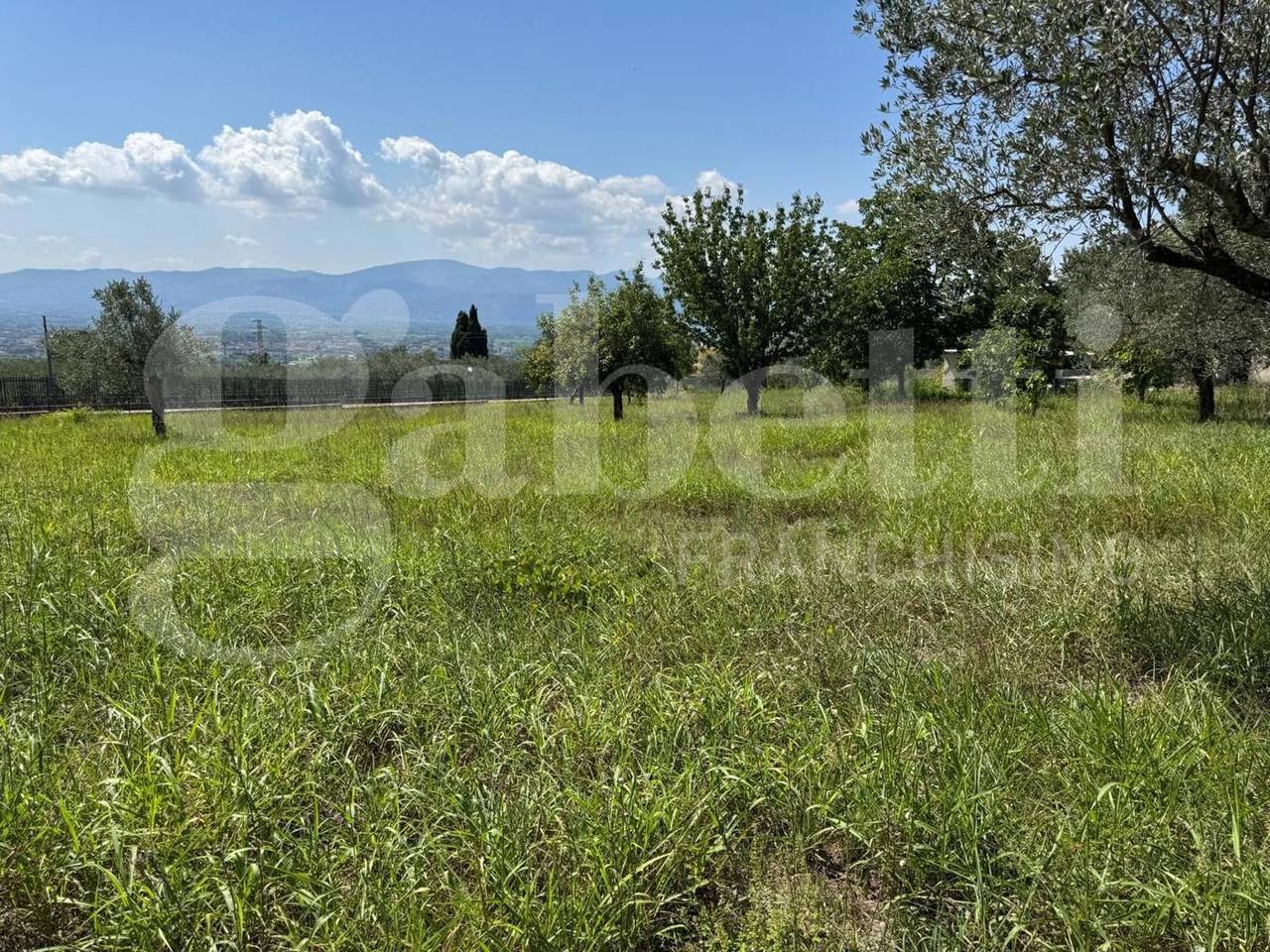 immagine annuncio 9 di 13