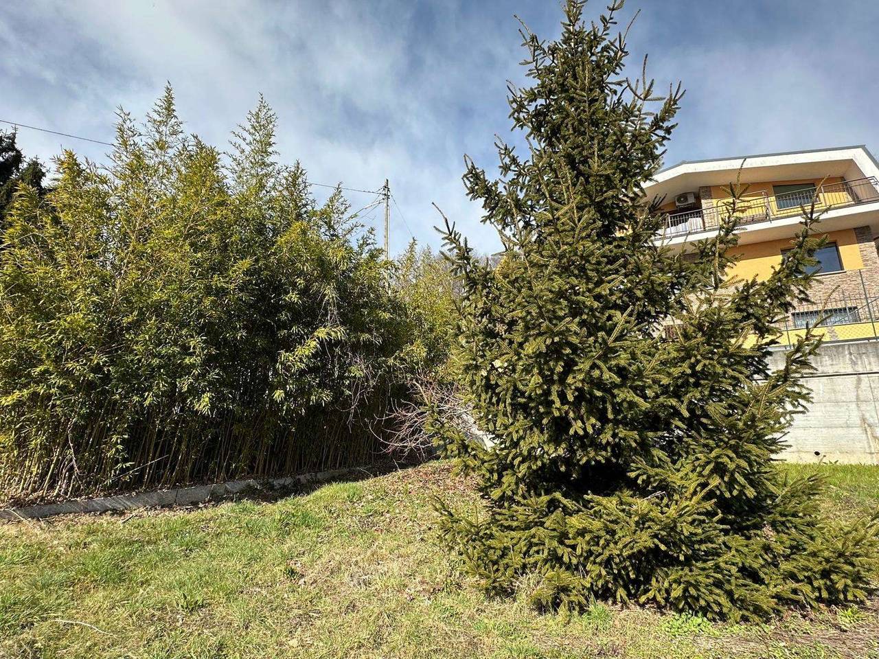 immagine annuncio 6 di 11