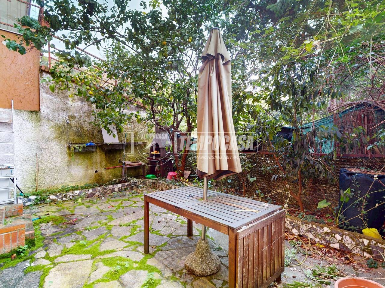 immagine annuncio 11 di 14