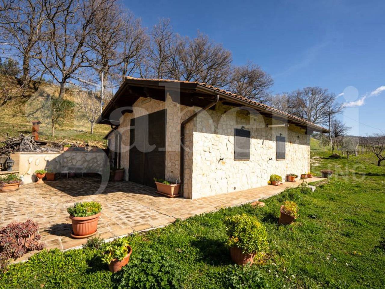 immagine annuncio 12 di 15