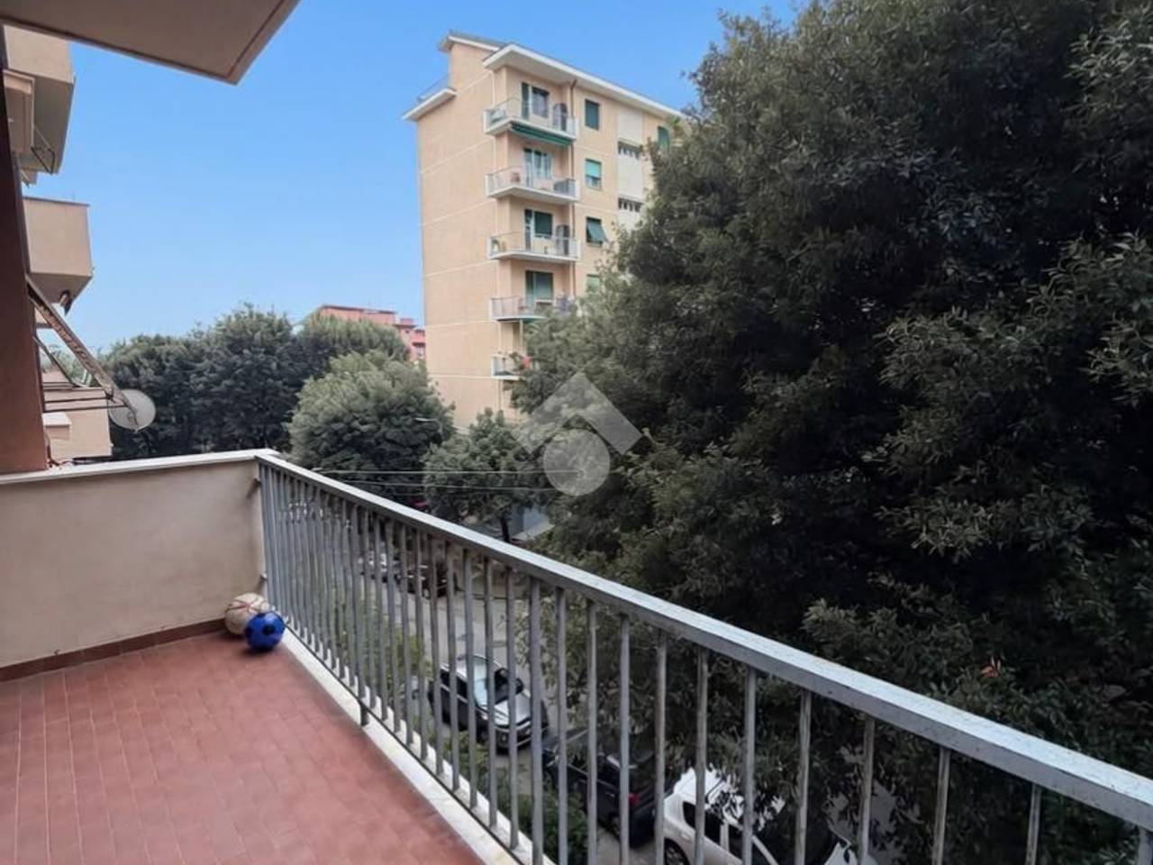 immagine annuncio 10 di 12
