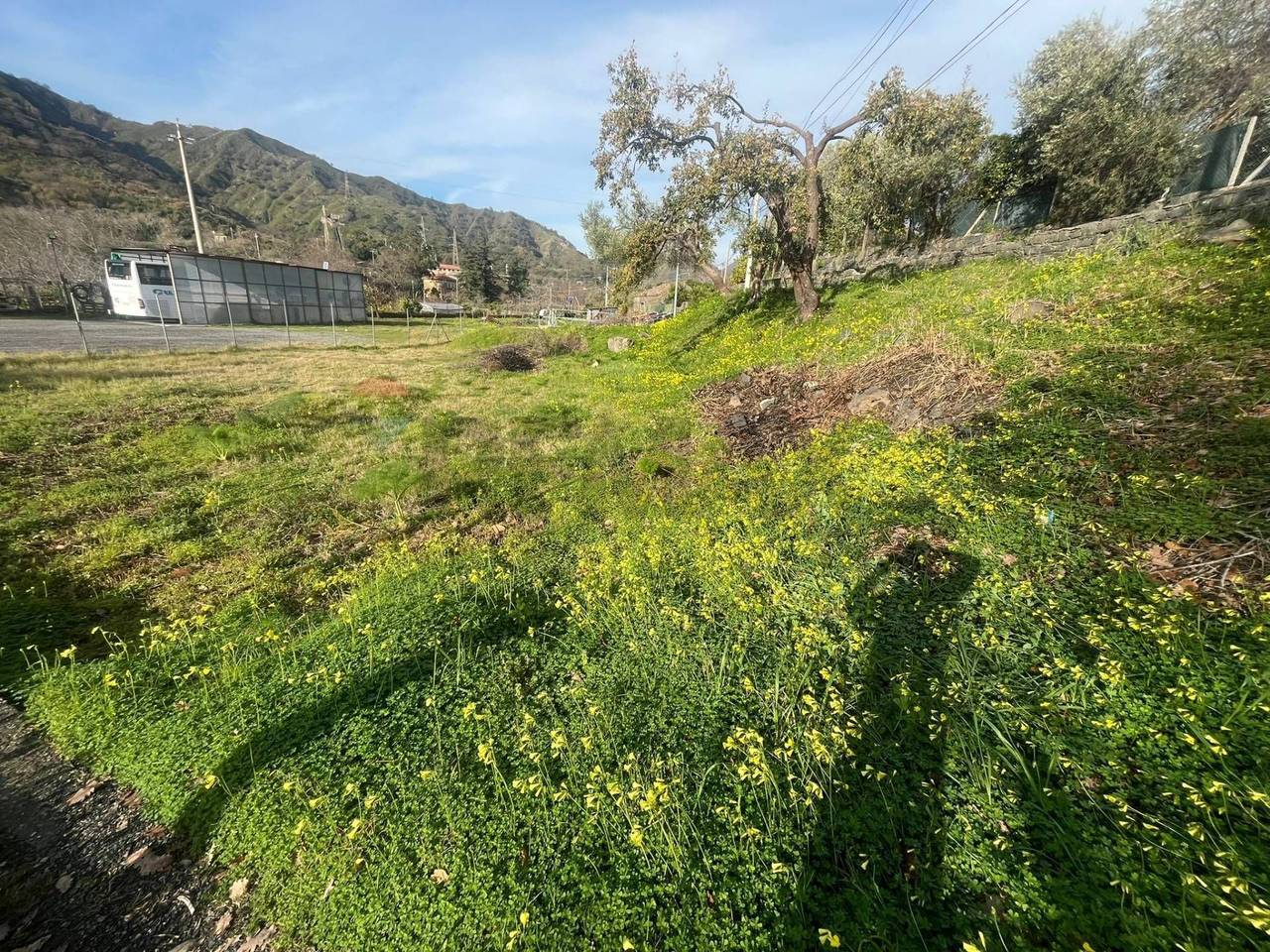 immagine annuncio 2 di 6