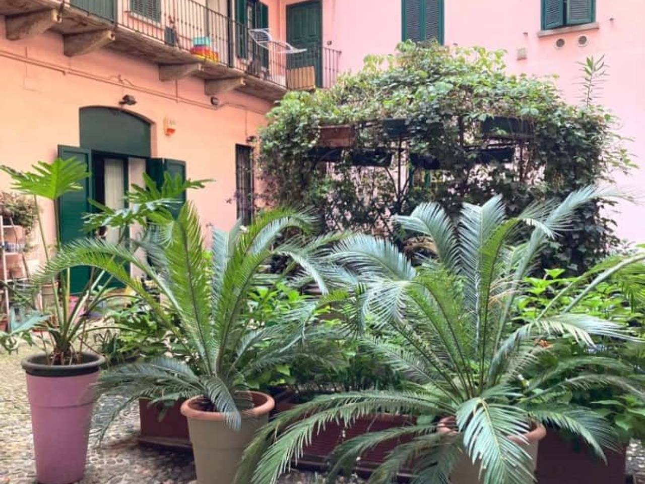 immagine annuncio 13 di 14