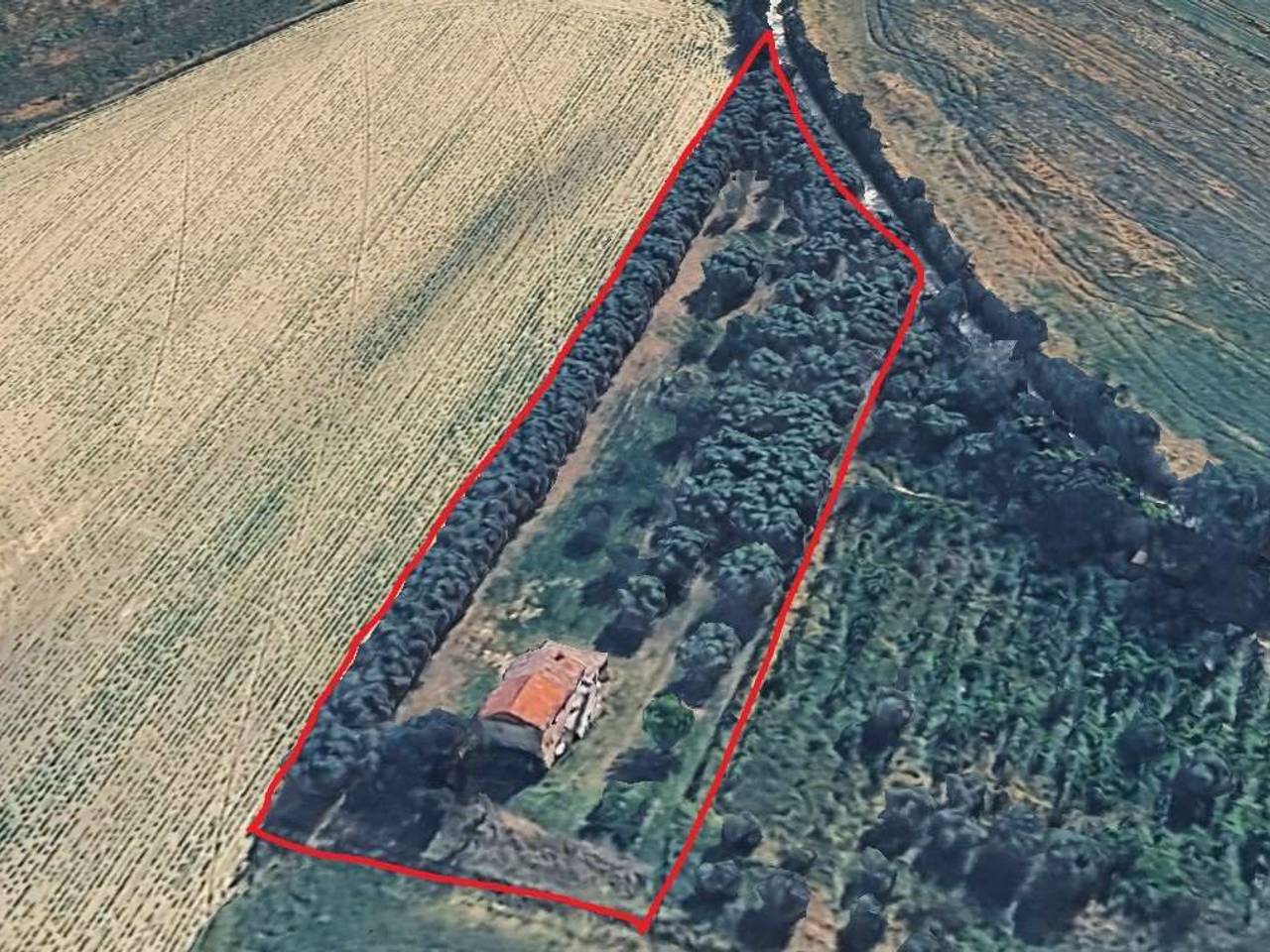 immagine annuncio 1 di 3