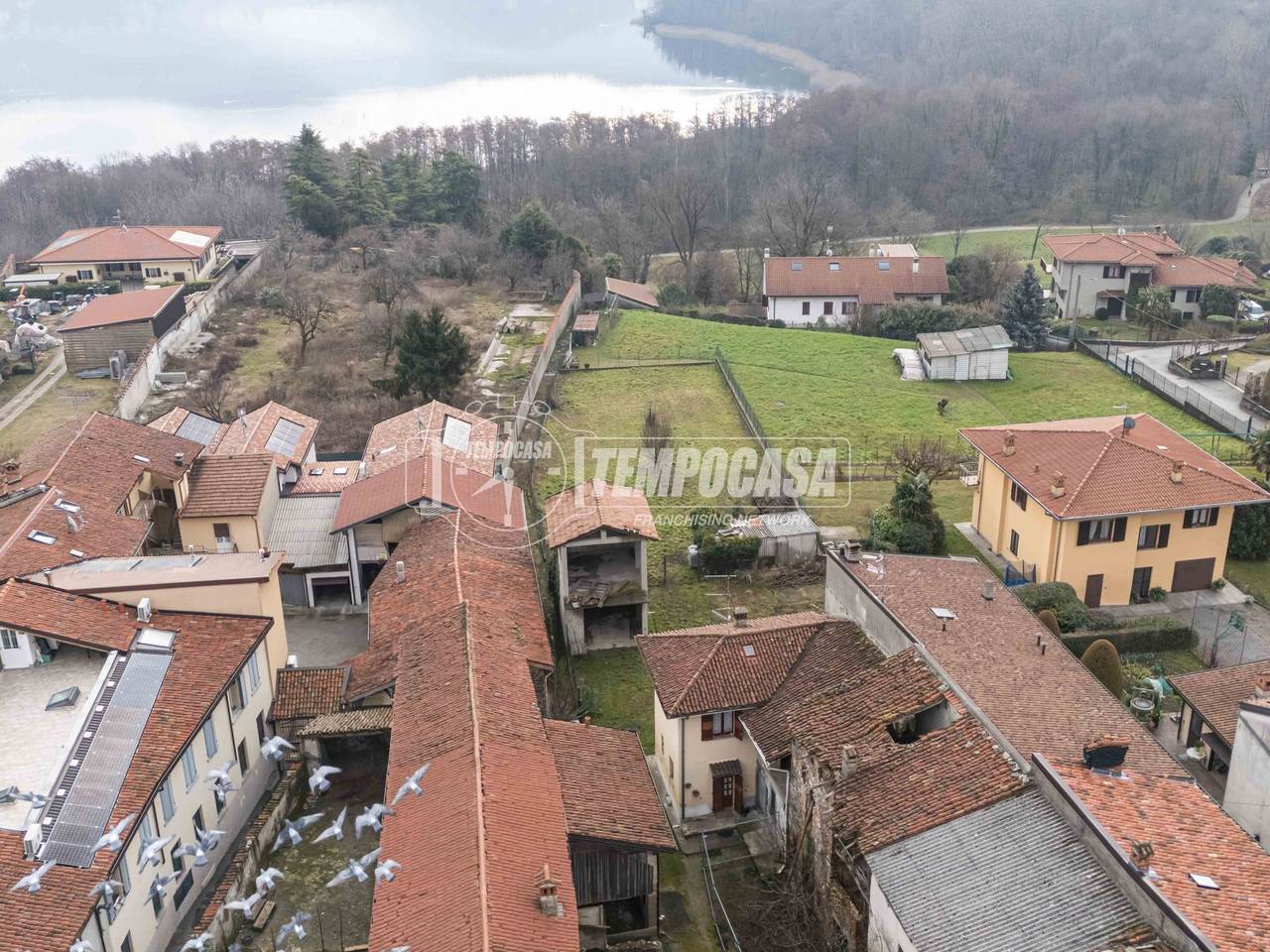 immagine annuncio 6 di 9