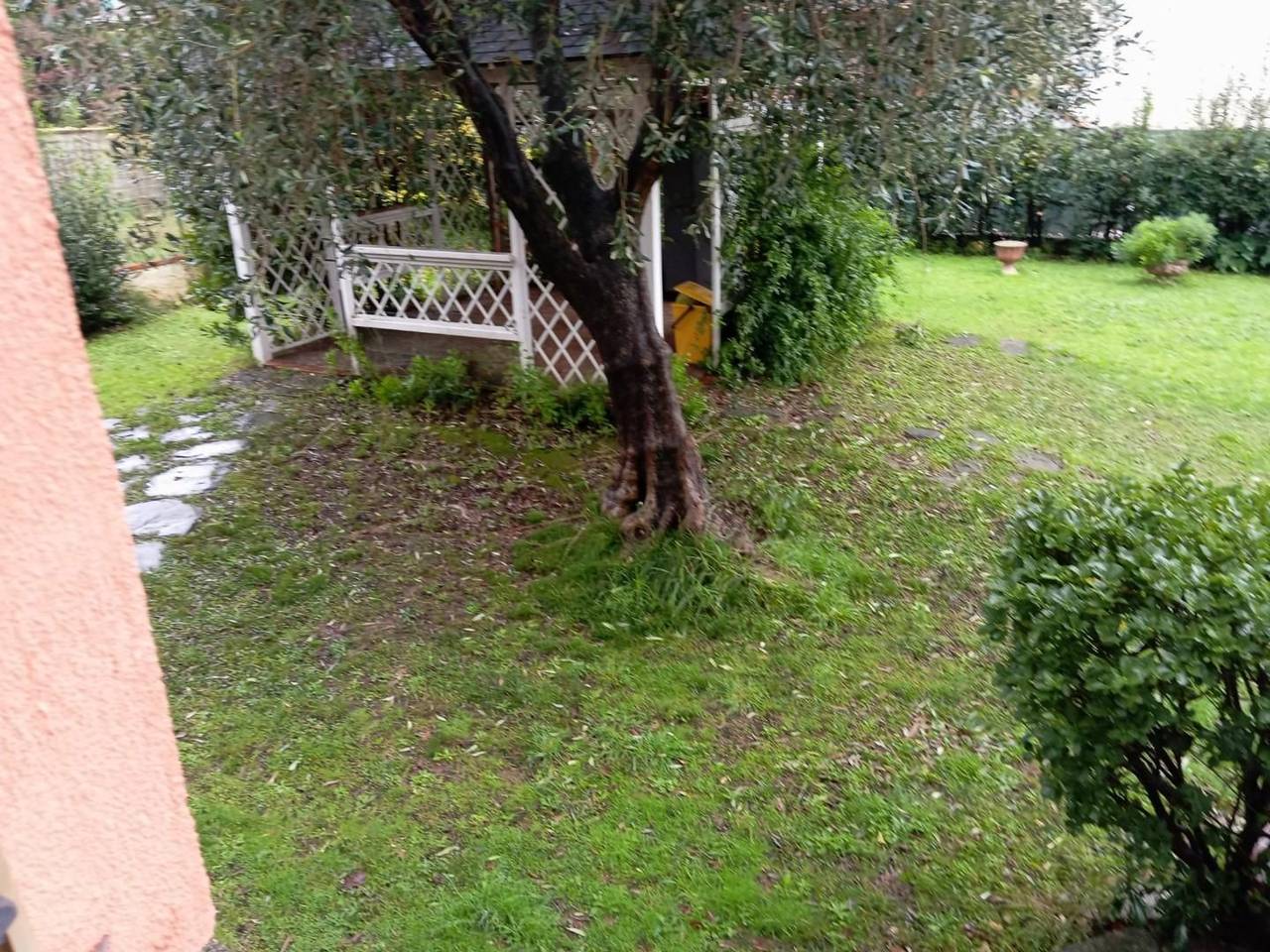 immagine annuncio 4 di 7